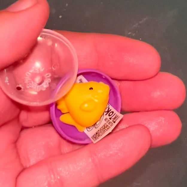 Surprise Inside Bath Bombs